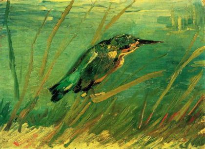 Picture of KINGFISHER