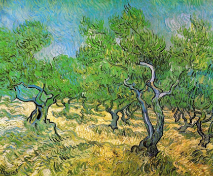 Picture of OLIVE GROVE