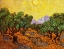 Picture of OLIVE TREES WITH YELLOW SKY AND SUN