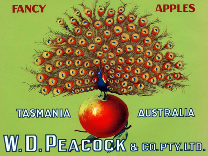 Picture of W.D. PEACOCK FANCY APPLES