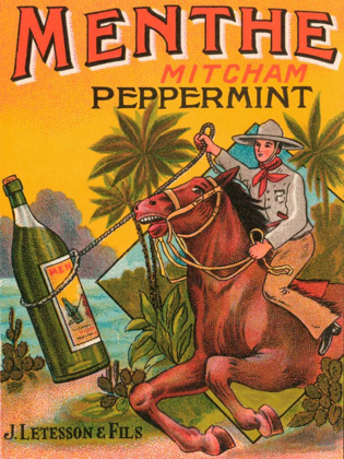 Picture of MENTHE PEPPERMINT