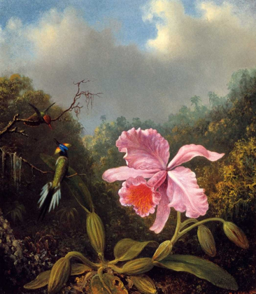 Picture of FIGHTING HUMMINGBIRDS WITH PINK ORCHID