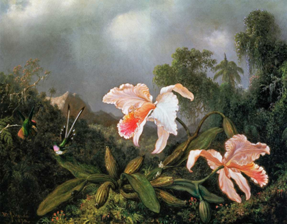 Picture of JUNGLE ORCHIDS AND HUMMINGBIRDS 1872