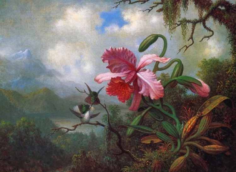 Picture of ORCHID AND HUMMINGBIRDS NEAR A MOUNTAIN LAKE