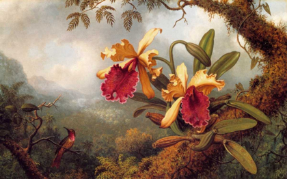 Picture of ORCHIDS AND HUMMINGBIRD