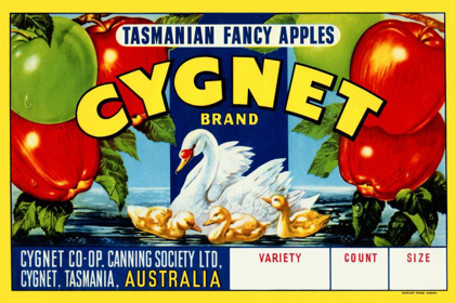 Picture of CYGNET TASMANIAN FANCY APPLES