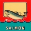Picture of SALMON
