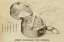 Picture of BUERKS WATCHMANS TIME DETECTOR
