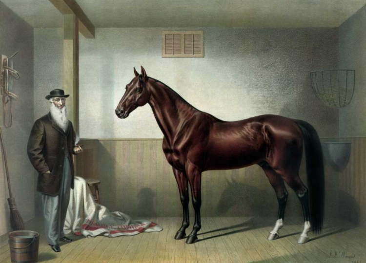 Picture of RYSDYKS HAMBLETONIAN