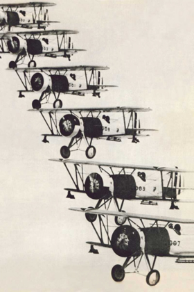 Picture of FLYING IN FORMATION
