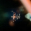 Picture of EAGLE THE APOLLO 11 LUNAR MODULE, 1969