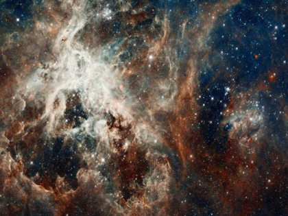 Picture of TARANTULA NEBULA - COMPRESSED VERSION