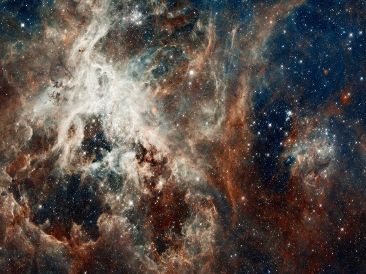 Picture of TARANTULA NEBULA - COMPRESSED VERSION