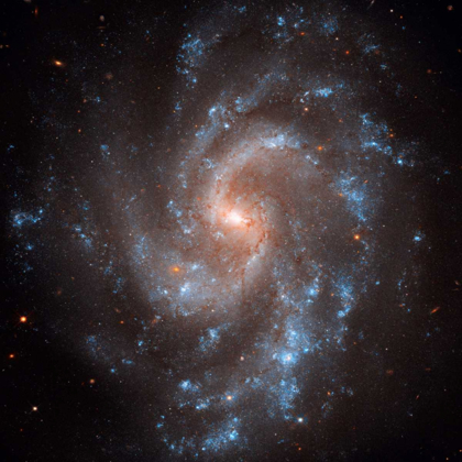 Picture of NGC 5584
