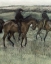 Picture of RACE HORSES (CENTER)