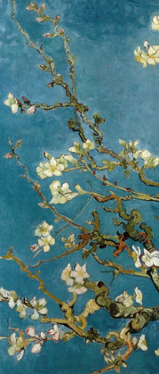 Picture of BLOSSOMING ALMOND TREE - LEFT