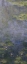 Picture of WATER LILIES (NYMPHEAS) IV (CENTER)