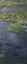 Picture of WATER LILIES (NYMPHEAS) IV (RIGHT)