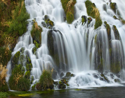 Picture of WATERFALL, NIAGARA SPRINGS, THOUSAND SPRINGS STATE PARK, IDAHO.