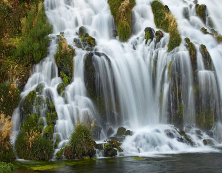 Picture of WATERFALL, NIAGARA SPRINGS, THOUSAND SPRINGS STATE PARK, IDAHO.