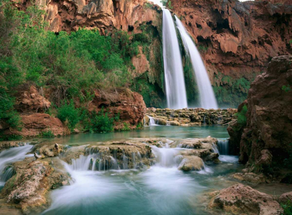 Picture of HAVASU CREEK, LINED WITH COTTONWOOD TREES, HAVASU FALLS, GRAND CANYON, ARIZONA