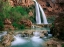 Picture of HAVASU CREEK, LINED WITH COTTONWOOD TREES, HAVASU FALLS, GRAND CANYON, ARIZONA