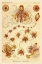 Picture of HAECKEL NATURE ILLUSTRATIONS: SIPHONEAE HYDROZOA