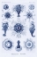 Picture of HAECKEL NATURE ILLUSTRATIONS: SIPHONEAE HYDROZOA - DARK BLUE TINT