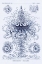 Picture of HAECKEL NATURE ILLUSTRATIONS: TUBULARIDA - TUBULARIANS - DARK BLUE TINT
