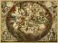 Picture of MAPS OF THE HEAVENS: HAEMISPHAERIUM STELLATUM AUSTRALE AEQUALI