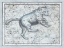 Picture of MAPS OF THE HEAVENS: URSA MAJOR - THE GREAT BEAR