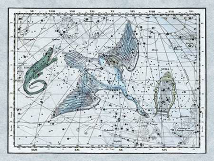Picture of MAPS OF THE HEAVENS: THE SWAN IN THE MILKYWAY