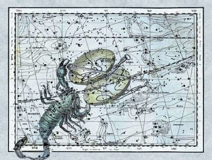 Picture of MAPS OF THE HEAVENS: LIBRA - THE SCALES AND THE SCORPION
