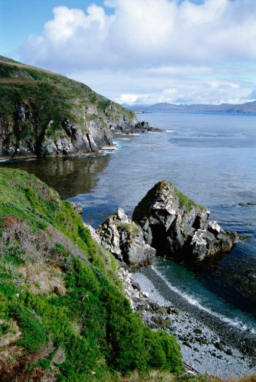 Picture of CAPE HORN NATIONAL PARK, SOUTHERN TIP OF SOUTH AMERICA, PATAGONIA, ARGENTINA