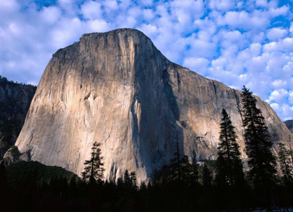 Picture of EL CAPITAN RISING OVER THE FOREST, YOSEMITE NATIONAL PARK, CALIFORNIA