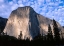 Picture of EL CAPITAN RISING OVER THE FOREST, YOSEMITE NATIONAL PARK, CALIFORNIA