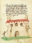 Picture of CIVIC FESTIVAL OF THE NUREMBERG SCHEMBARTLAUF - CASTLE