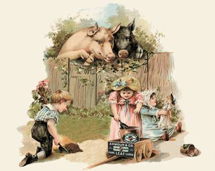 Picture of PIGS AND PORK: CURIOUS PIGS