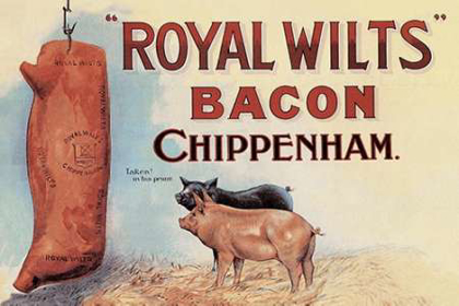 Picture of PIGS AND PORK: ROYAL WILTS BACON