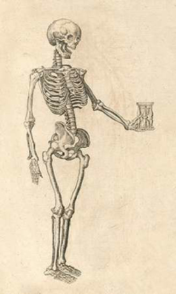 Picture of HUMAN SKELETON WITH HOURGLASS