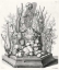 Picture of AD. VIVIM SCULPSIT