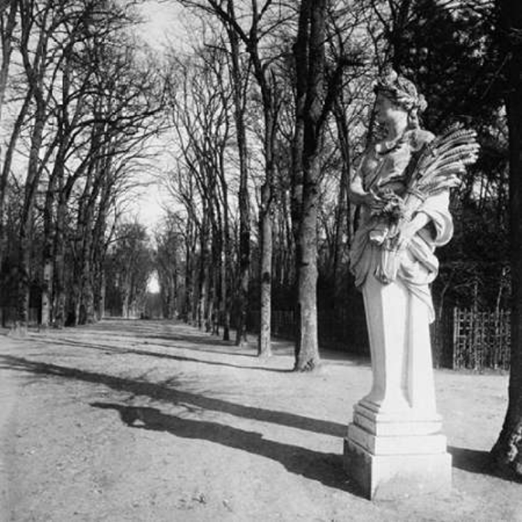 Picture of FRANCE, 1920 - THE PARK, VERSAILLES