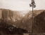Picture of YOSEMITE VALLEY FROM THE BEST GENERAL VIEW, 1866