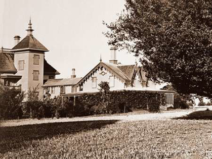 Picture of RESIDENCE OF MR. HOWARD, SAN MATEO, CALIFORNIA, WITH OLIVE TREE, 1863-1880