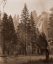 Picture of CATHEDRAL SPIRES - YOSEMITE, CALIFORNIA, 1861
