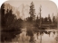 Picture of RIVER VIEW - DOWN THE VALLEY - YOSEMITE, CALIFORNIA, 1861