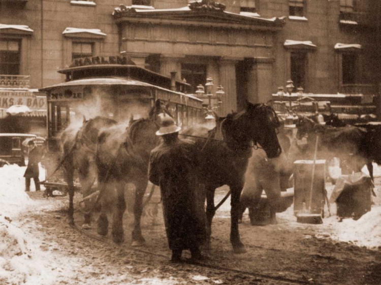 Picture of  THE TERMINAL, NEW YORK CITY, 1893