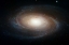 Picture of SPIRAL GALAXY M81