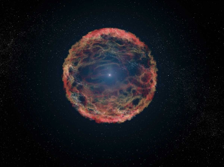 Picture of ARTISTS IMPRESSION OF SUPERNOVA 1993J