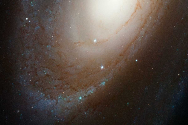 Picture of HST ACS IMAGE OF M81